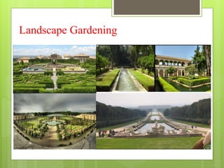 Landscape Gardening
 