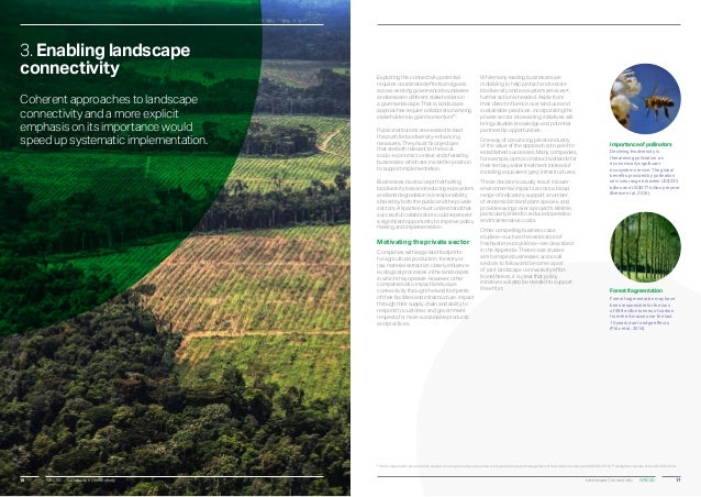 Landscape connectivity - a call to action