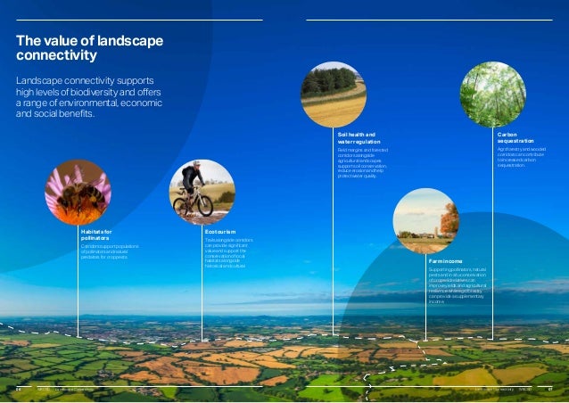 Landscape connectivity - a call to action