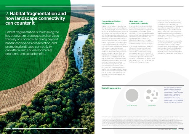 Landscape connectivity - a call to action