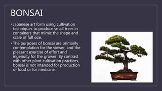 BONSAI
• Japanese art form using cultivation
techniques to produce small trees in
containers that mimic the shape and
scale of full size.
• The purposes of bonsai are primarily
contemplation for the viewer, and the
pleasant exercise of effort and
ingenuity for the grower. By contrast
with other plant cultivation practices,
bonsai is not intended for production
of food or for medicine.
 