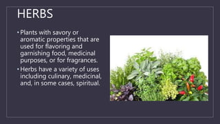 HERBS
• Plants with savory or
aromatic properties that are
used for flavoring and
garnishing food, medicinal
purposes, or for fragrances.
• Herbs have a variety of uses
including culinary, medicinal,
and, in some cases, spiritual.
 