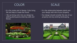 COLOR
• It is the center part of design. Color bring
life and help to create the mood.
• We can bring color into our design by
adding plants,pavers,retaining walls and
fences.
SCALE
• It is the relationship between plants and
your design with rest of your property.
• Our design should consider the size of our
property and any existing landscaping.
 