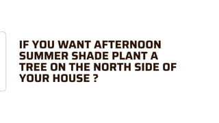 IF YOU WANT AFTERNOON
SUMMER SHADE PLANT A
TREE ON THE NORTH SIDE OF
YOUR HOUSE ?
 