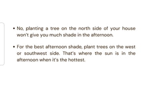 No, planting a tree on the north side of your house
won’t give you much shade in the afternoon.
For the best afternoon shade, plant trees on the west
or southwest side. That’s where the sun is in the
afternoon when it’s the hottest.
 