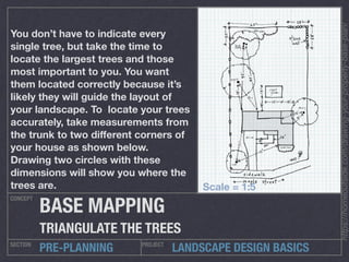 Landscape Design Essentials | PDF