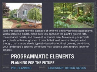 Landscape Design Essentials | PDF
