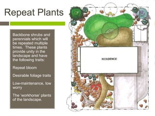 Landscape Design for Homeowners | PPT