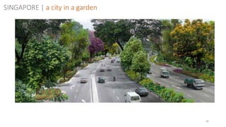 66
SINGAPORE | a city in a garden
 