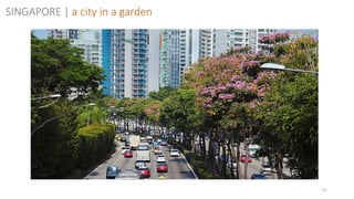 67
SINGAPORE | a city in a garden
 