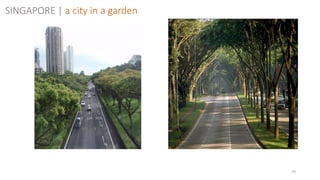 70
SINGAPORE | a city in a garden
 
