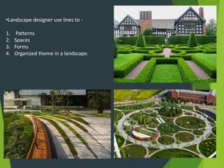 •Landscape designer use lines to -
1. Patterns
2. Spaces
3. Forms
4. Organized theme in a landscape.
 