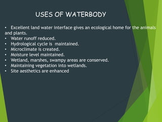 • Excellent land water interface gives an ecological home for the animals
and plants.
• Water runoff reduced.
• Hydrological cycle is maintained.
• Microclimate is created.
• Moisture level maintained.
• Wetland, marshes, swampy areas are conserved.
• Maintaining vegetation into wetlands.
• Site aesthetics are enhanced
USES OF WATERBODY
 