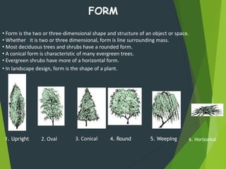 1. Upright
FORM
• In landscape design, form is the shape of a plant.
• Form is the two or three-dimensional shape and structure of an object or space.
• Whether it is two or three dimensional, form is line surrounding mass.
• Most deciduous trees and shrubs have a rounded form.
• A conical form is characteristic of many evergreen trees.
• Evergreen shrubs have more of a horizontal form.
2. Oval 3. Conical 4. Round 5. Weeping 6. Horizontal
 