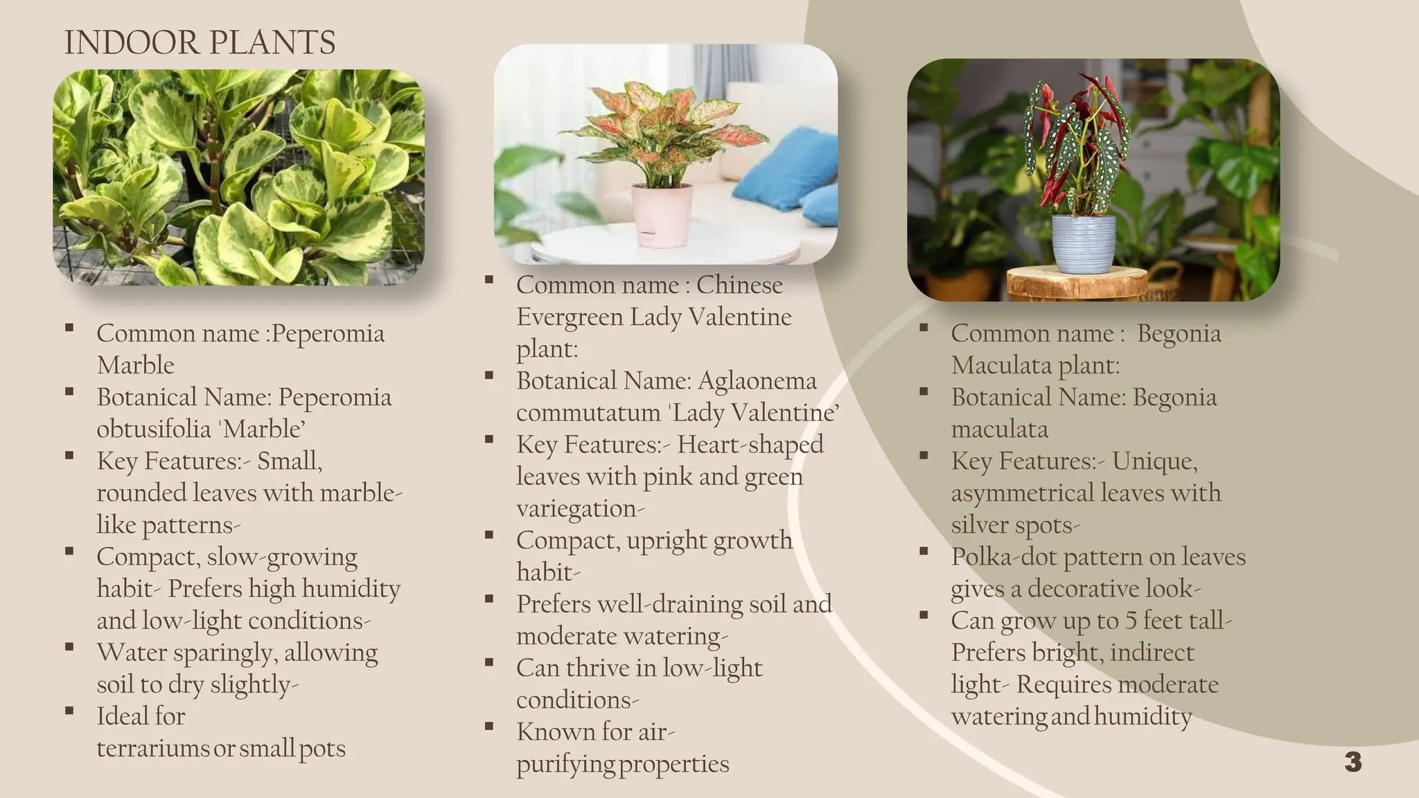 Landscape Design Ppt 2 Pptx Architecture Student Presentatiom Pptx