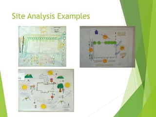 Site Analysis Examples
 