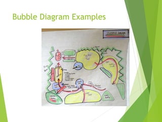 Bubble Diagram Examples
 