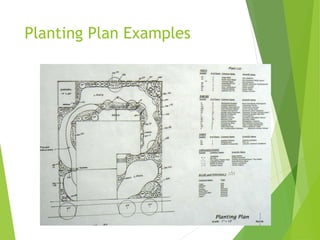 Planting Plan Examples
 