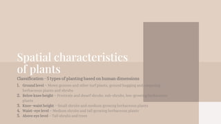 Spatial characteristics
of plants
Classification - 5 types of planting based on human dimensions
1. Ground level – Mown grasses and other turf plants, ground hugging and carpeting
herbaceous plants and shrubs
2. Below knee height – Prostrate and dwarf shrubs, sub-shrubs, low-growing herbaceous
plants
3. Knee–waist height – Small shrubs and medium growing herbaceous plants
4. Waist–eye level – Medium shrubs and tall growing herbaceous plants
5. Above eye level – Tall shrubs and trees
 