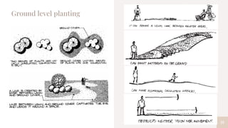 19
Ground level planting
 