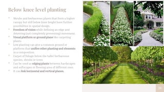 20
Below knee level planting
• Shrubs and herbaceous plants that form a higher
canopy but still below knee height have further
possibilities in spatial design.
• Freedom of vision while defining an edge and
deterring (not completely preventing) movement.
• Visual platform or ground plane like carpeting
plants.
• Low planting can give a common ground or
platform that unifies other planting and elements
in a composition.
• Carpet of foliage below the taller herbaceous
species, shrubs or trees.
• Can be used as edging plants between hardscapes
and softscapes or flooring area of different uses.
• It can link horizontal and vertical planes.
 
