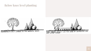 22
Below knee level planting
 
