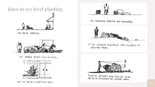 24
Knee to eye level planting
 