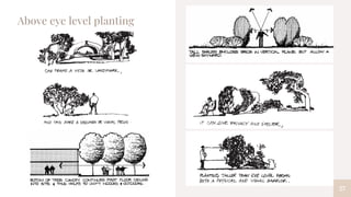 27
Above eye level planting
 