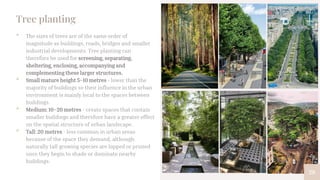 28
Tree planting
• The sizes of trees are of the same order of
magnitude as buildings, roads, bridges and smaller
industrial developments. Tree planting can
therefore be used for screening, separating,
sheltering, enclosing, accompanying and
complementing these larger structures.
• Small mature height 5–10 metres - lower than the
majority of buildings so their influence in the urban
environment is mainly local to the spaces between
buildings.
• Medium: 10–20 metres - create spaces that contain
smaller buildings and therefore have a greater effect
on the spatial structure of urban landscape.
• Tall: 20 metres - less common in urban areas
because of the space they demand, although
naturally tall growing species are lopped or pruned
once they begin to shade or dominate nearby
buildings.
 