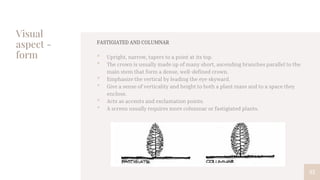 Visual
aspect -
form
35
FASTIGIATED AND COLUMNAR
• Upright, narrow, tapers to a point at its top.
• The crown is usually made up of many short, ascending branches parallel to the
main stem that form a dense, well-defined crown.
• Emphasize the vertical by leading the eye skyward.
• Give a sense of verticality and height to both a plant mass and to a space they
enclose.
• Acts as accents and exclamation points.
• A screen usually requires more columnar or fastigiated plants.
 