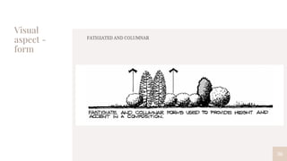 Visual
aspect -
form
36
FATIGIATED AND COLUMNAR
 