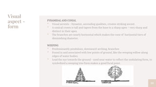 Visual
aspect -
form
39
PYRAMIDAL AND CONIAL
• Visual accents - Dynamic, ascending qualities, creates striking ascent.
• A conical crown is tall and tapers from the base to a sharp apex – very sharp and
distinct in their apex.
• The branches are nearly horizontal which makes the cone of horizontal tiers of
diminishing diameter.
WEEPING
• Predominantly pendulous, downward-arching, branches
• Found in and associated with low points of ground, like the weeping willow along
edges of water bodies.
• Lead the eye towards the ground - used near water to reflect the undulating form, to
symbolized a weeping tree form makes a good focal point.
 