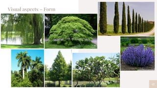 42
Visual aspects – Form
 