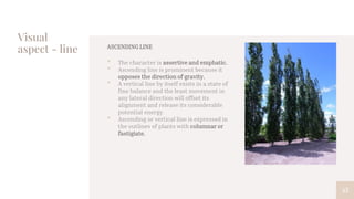 Visual
aspect - line
45
ASCENDING LINE
• The character is assertive and emphatic.
• Ascending line is prominent because it
opposes the direction of gravity.
• A vertical line by itself exists in a state of
fine balance and the least movement in
any lateral direction will offset its
alignment and release its considerable
potential energy.
• Ascending or vertical line is expressed in
the outlines of plants with columnar or
fastigiate.
 