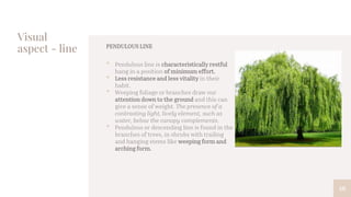 Visual
aspect - line
46
PENDULOUS LINE
• Pendulous line is characteristically restful
hang in a position of minimum effort.
• Less resistance and less vitality in their
habit.
• Weeping foliage or branches draw our
attention down to the ground and this can
give a sense of weight. The presence of a
contrasting light, lively element, such as
water, below the canopy complements.
• Pendulous or descending line is found in the
branches of trees, in shrubs with trailing
and hanging stems like weeping form and
arching form.
 