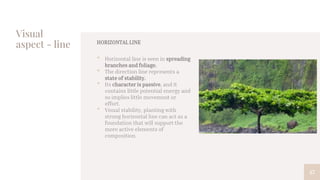 Visual
aspect - line
47
HORIZONTAL LINE
• Horizontal line is seen in spreading
branches and foliage.
• The direction line represents a
state of stability.
• Its character is passive, and it
contains little potential energy and
so implies little movement or
effort.
• Visual stability, planting with
strong horizontal line can act as a
foundation that will support the
more active elements of
composition.
 