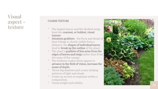 Visual
aspect -
texture
52
COARSE TEXTURE
• The largest leaves and the thickest twigs
have the coarsest, or boldest, visual
texture.
• Attention grabbers - the form and detail of
their foliage is clearly visible from a
distance; the shapes of individual leaves
tend to break up the outline of the plant.
• The plant’s qualities of line arise from the
edges of leaves and twigs rather than from
the mass of the canopy.
• The boldness makes them appear to
advance in the field of vision, increase the
sense of depth.
• Throw big shadows and create striking
patterns of light and shade.
• Create an accent or emphasis within a
composition,
• Visual weight and solidity.
 