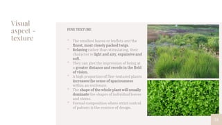 Visual
aspect -
texture
54
FINE TEXTURE
• The smallest leaves or leaflets and the
finest, most closely packed twigs.
• Relaxing rather than stimulating, their
character is light and airy, expansive and
soft.
• They can give the impression of being at
a greater distance and recede in the field
of vision.
• A high proportion of fine-textured plants
increases the sense of spaciousness
within an enclosure.
• The shape of the whole plant will usually
dominate the shapes of individual leaves
and stems.
• Formal composition where strict control
of pattern is the essence of design.
 