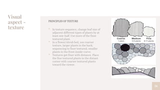 Visual
aspect -
texture
56
PRINCIPLES OF TEXTURE
• In texture sequence, change leaf size of
adjacent different types of plants by at
least one-half. Use more of the finer
textured plant.
• In a flower/shrub bed, use coarser
texture, larger plants in the back;
sequencing to finer textured, smaller
plants in the front inside-curve.
• Textures get finer with distance. Place
the fine textured plants in the distant
corner with coarser textured plants
toward the viewer.
 