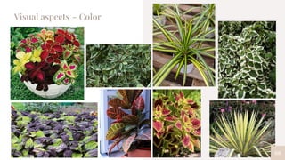 60
Visual aspects – Color
 