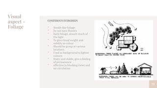 Visual
aspect -
Foliage
75
CONIFEROUS EVERGREEN
• Needle like foliage
• Do not have flowers
• Dark foliage, absorb much of
the light
• To give visual weight and
solidity as colour
• Should be group at various
locations
• Used as background to lighter
colours
• Static and stable, give a feeling
of permanence
• effective in blocking views and
air circulation
 