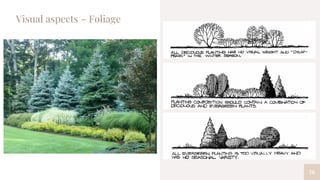 76
Visual aspects – Foliage
 