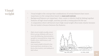 Visual
weight
78
• Visual weight is the concept that combinations of certain features have more
importance in the composition based on mass and contrast.
• Background features are important—they create a cohesive look by linking together
features of high visual weight, and they provide a resting place for the eye.
• A composition where all features have high visual weight often looks chaotic because
the eye tends to bounce between the features.
• High visual weight usually comes
from a group of plants with one or
more the following characteristics:
upright or unusual forms, large size,
bright colors, bold texture, and
diagonal lines.
• Low visual weight is found in low
horizontal lines, prostrate or low
forms, fine texture, and subdued or
dull colour.
 