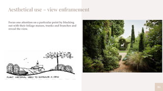 84
Aesthetical use – view enframement
Focus one attention on a particular point by blocking
out with their foliage masses, trunks and branches and
reveal the view.
 