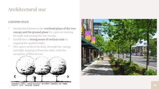 88
Architectural use
CANOPIED SPACE
• Sandwiched between the overhead plane of the tree
canopy and the ground plane for a person moving
through and among the tree trunks.
• Establishes a strong sense of vertical scale by
capping the spatial height.
• This space tends to be dark, through the canopy
and light seeping in from the sides, with the
exception of filtered sun.
 