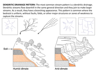 DENDRITIC DRAINAGE PATTERN: The most common stream pattern is a dendritic drainage.
Dendritic streams flow downhill in the same general direction and they join to make larger
streams. As a result, they have a branching appearance. This pattern is common where the
bedrock is uniform, without faults, folds, or other major structures or zones of weakness to
capture the streams.
 