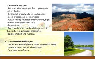 3.Terrestrial – scape:
Better studies by geographers , geologists,
and ecologists.
Distinguish broadly into two categories-
abiotic process and biotic process.
Abiotic mainly represented by deserts, high
altitude mountains and saline
depressions.
Biotic landscapes may be distinguished in
three different groups of organisms;
plants, animals and humans.
A. Geobotanical landscape:
The distribution of plant in space represents most
obvious patterning of a land scape.
Plants are main forces.
 