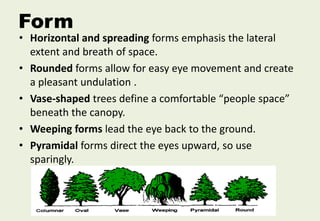 Form
• Horizontal and spreading forms emphasis the lateral
extent and breath of space.
• Rounded forms allow for easy eye movement and create
a pleasant undulation .
• Vase-shaped trees define a comfortable “people space”
beneath the canopy.
• Weeping forms lead the eye back to the ground.
• Pyramidal forms direct the eyes upward, so use
sparingly.
 