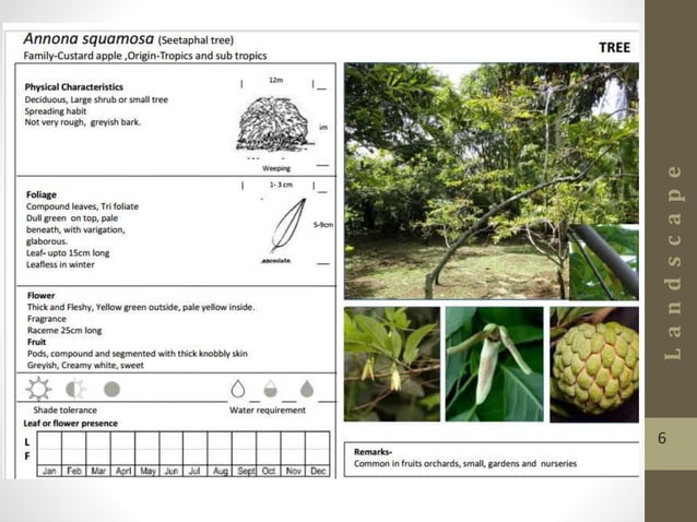 Landscape For Plants Pptx Gardening Home Garden