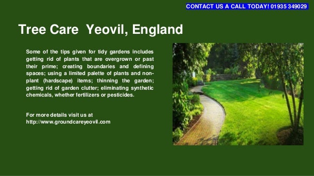 Landscape Gardener Yeovil